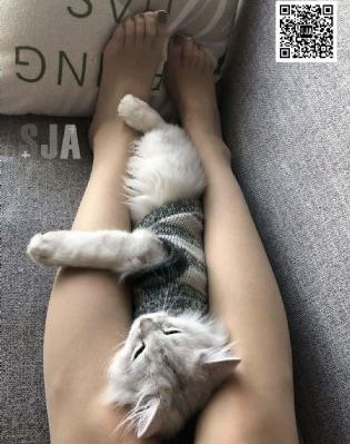 头脑特工队2普通话版免费观看